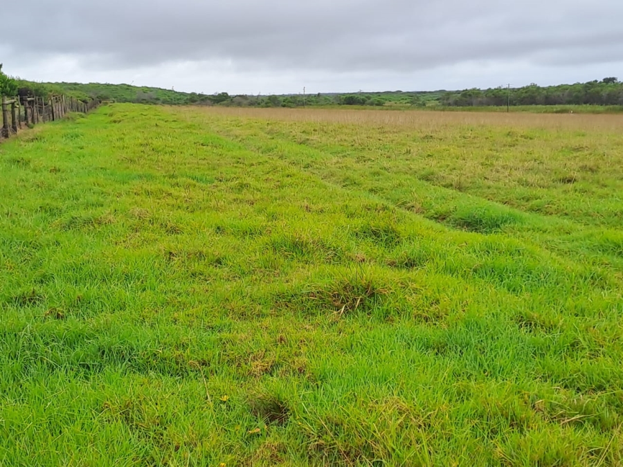 Commercial Property for Sale in St Francis Bay Rural Eastern Cape